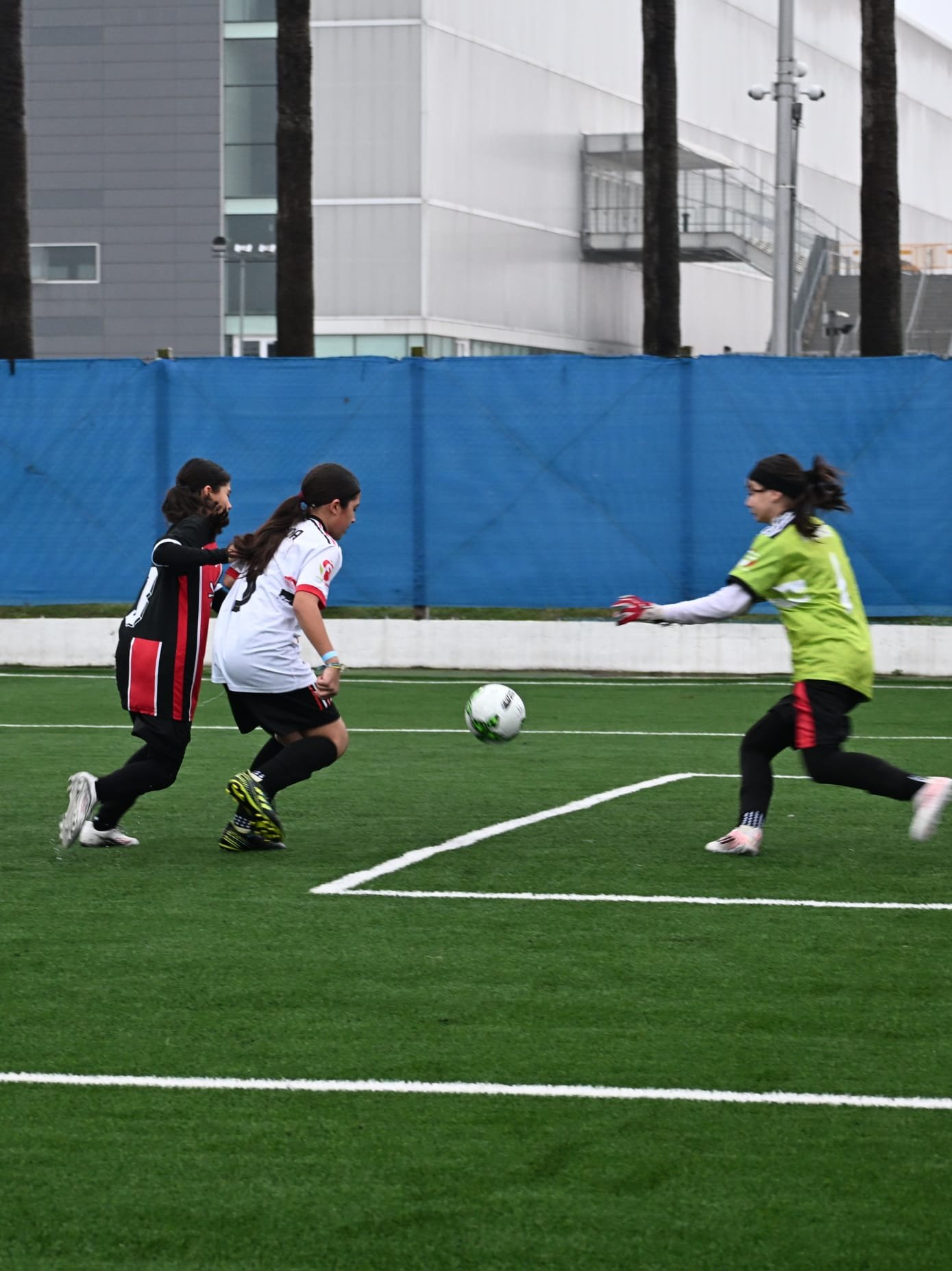 Imagen 1 de Liga Palermo cerró con puntaje perfecto la Serie 5 Sub-13 Femenina